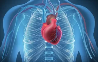 Arrhythmias and ACLS