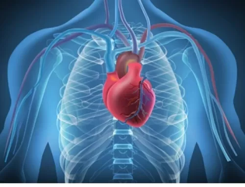 Heart Function: Arrhythmias, and ACLS