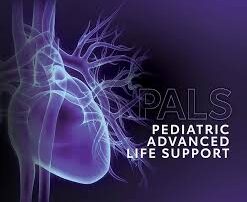 Significance of PALS Certification